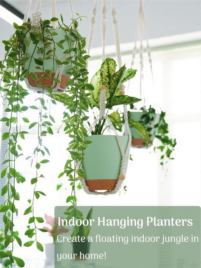 Bouqlife Self Watering Hanging Planters - Image 8