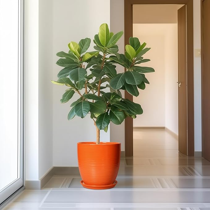 12 Inch Plant Pot, Ceramic Planters - Image 2