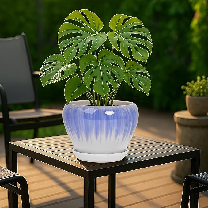 Deep Dream 8 Inch Plant Pots- Ceramic Pots - Image 3