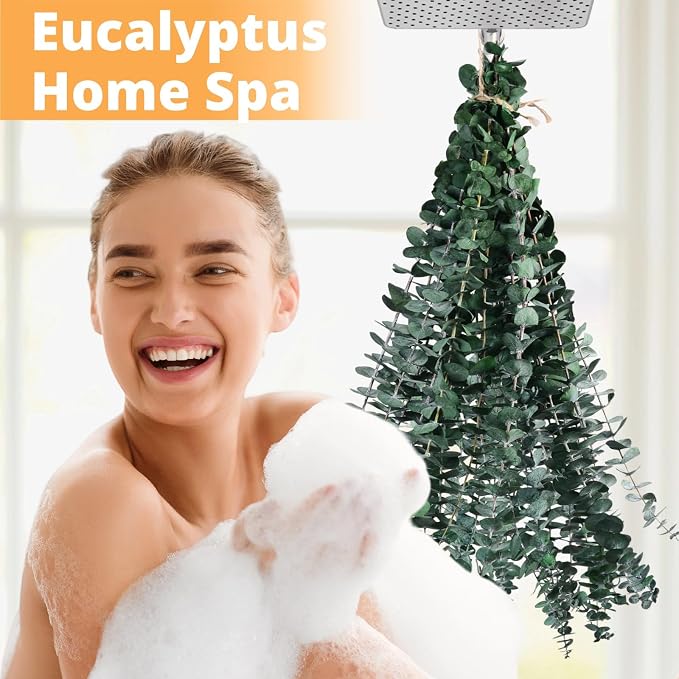 12PCS Dried Eucalyptus for Shower Hanging Real Preserved Eucalyptus Stems | - Image 3