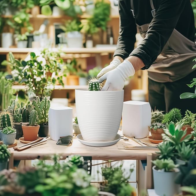 8 Inch Ceramic Planter Pot Round Plant Pot - Image 2