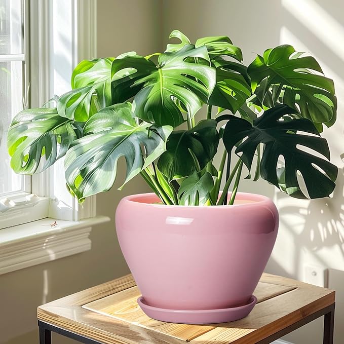 Ceramicfor 10 Inch Plant Pot - Image 6