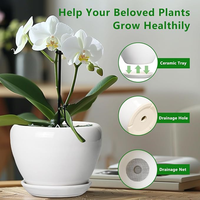 Ceramicfor Ceramic Pot for Plants, 8 Inch Planter, Glossy White | Plant Pot - Image 6