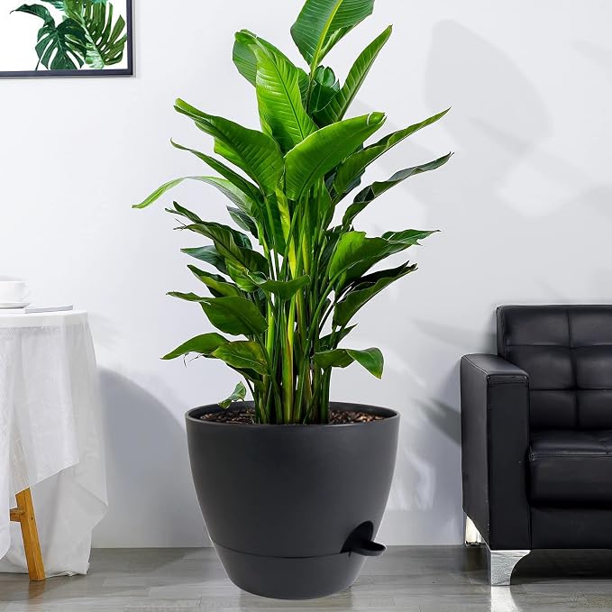 UOUZ 12 inch Large Self Watering Pots, Plastic Planters - Image 6