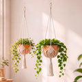 Shappy Boho Macrame Plant Hanger by Shappy