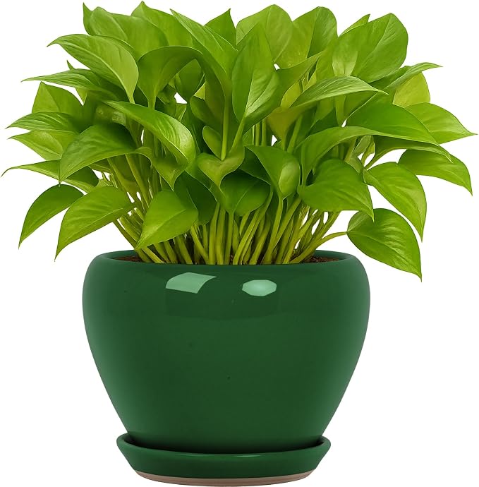 Deep Dream 6 Inch Plant Pots- Ceramic Planter Pot by DeepDream