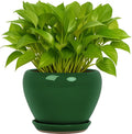 Deep Dream 6 Inch Plant Pots- Ceramic Planter Pot by DeepDream