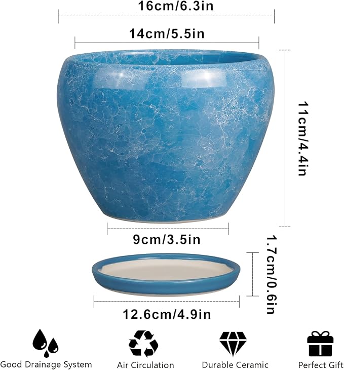 Ceramicfor 6 Inch Plant Pot - Image 3