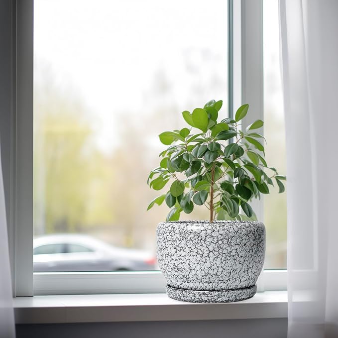 SQOWL 8 inch Plant Pot - Image 4