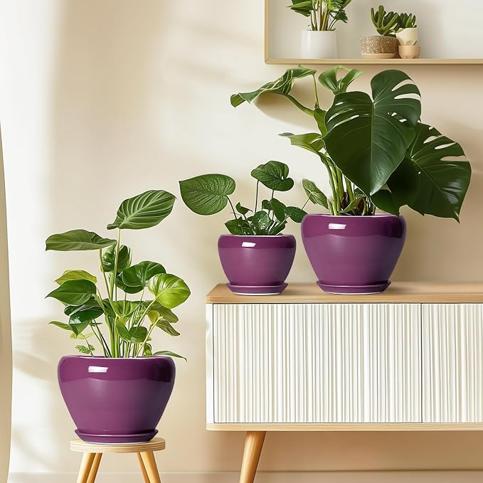 Ceramicfor Ceramic Pots for Plants 6 Inch - Image 7