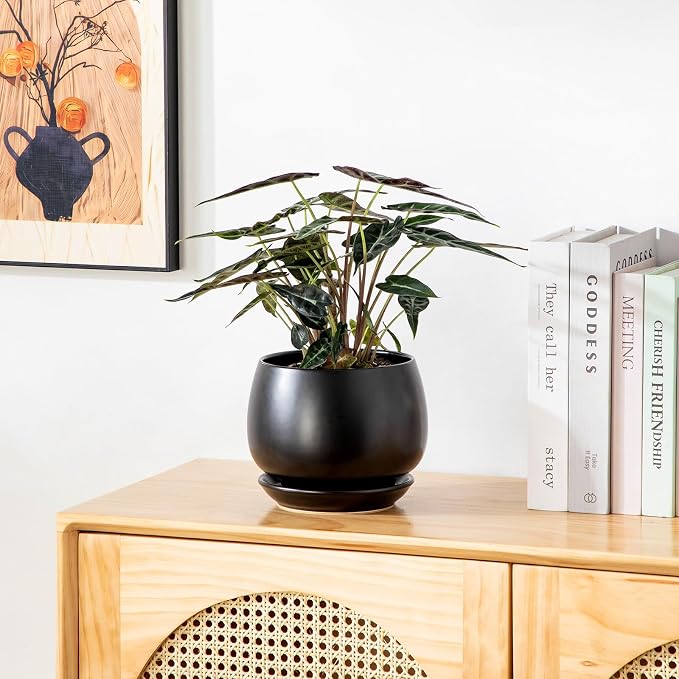 vancasso 3-Pack Ceramic Plant Pots, 3.7/4.8/6.2 Inch Indoor Planters - Image 9