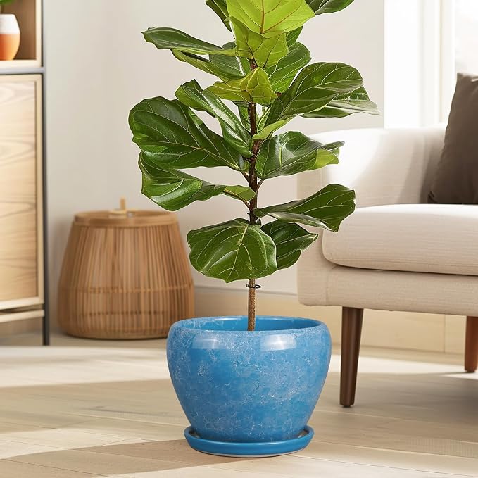 Ceramicfor Ceramic Planter - Image 4