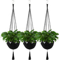 Shappy 3 Pack Boho Macrame Plant Hanger by Shappy