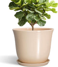 Ceramic Plant Pots, 12 Inch Plant Pot by SUNPOTFOR