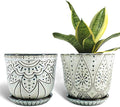 Gepege Ceramic Plant Pots, 6 Inch Indoor Planters by Gepege