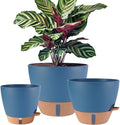 12/10/8 inch Plant Pots, Large Plastic Self Watering Planters | Drainage Holes by Fielda