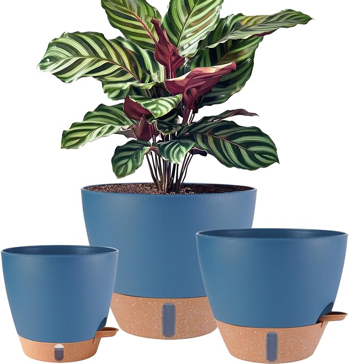 12/10/8 inch Plant Pots, Large Plastic Self Watering Planters | Drainage Holes by Fielda