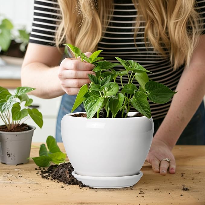 Ceramicfor Ceramic Pot for Plants - Image 6