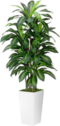 ASTIDY Artificial Plant 5FT Dracaena Fake Tree by ASTIDY
