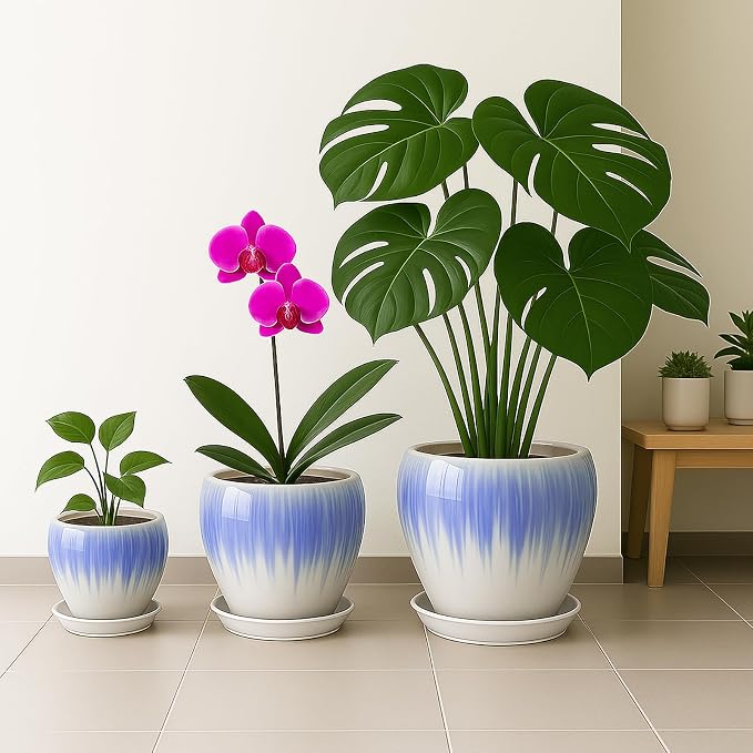 Deep Dream 6 Inch Plant Pots- Ceramic Planter Pot - Image 5