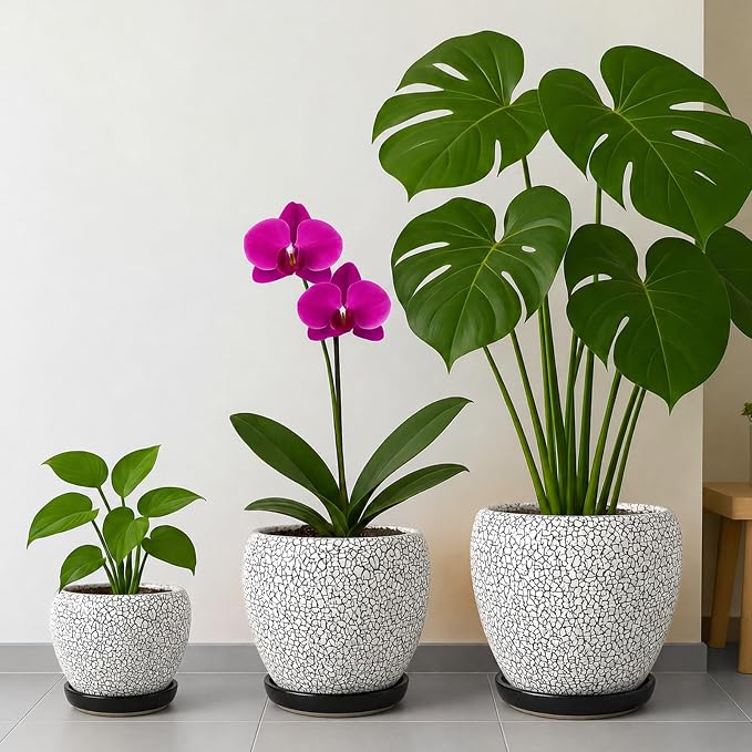 Deep Dream 8 Inch Plant Pots- Ceramic Pots - Image 7