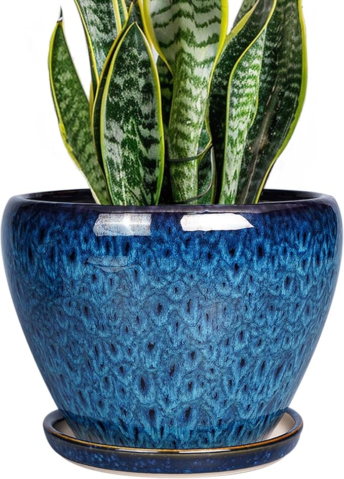 Ceramicfor 8 Inch Ceramic Plant Pot, Ceramic Planter Pot by Ceramicfor
