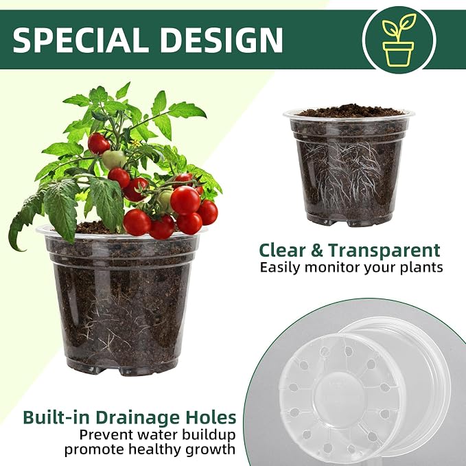 40 Pack10 & 8 Inch Large Clear Nursery Pots - Image 3