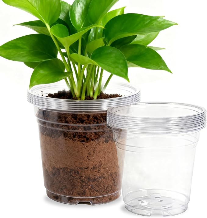 40 Pack10 & 8 Inch Large Clear Nursery Pots by Unknown