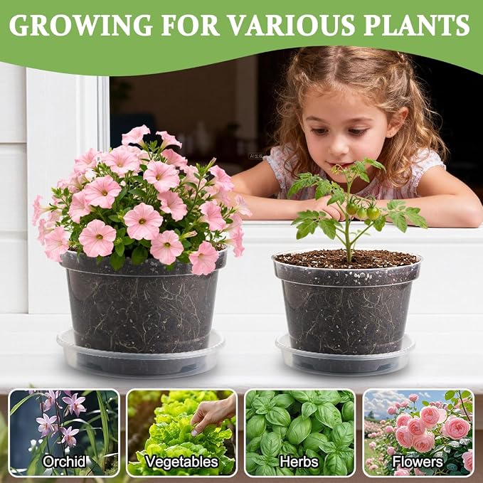 RooTrimmer 12 Pack 8 Inch Clear Plant Pots - Image 6