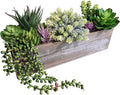 Winlyn Artificial Succulent Arrangement 14" Assorted Faux Succulents Plants in by Winlyn