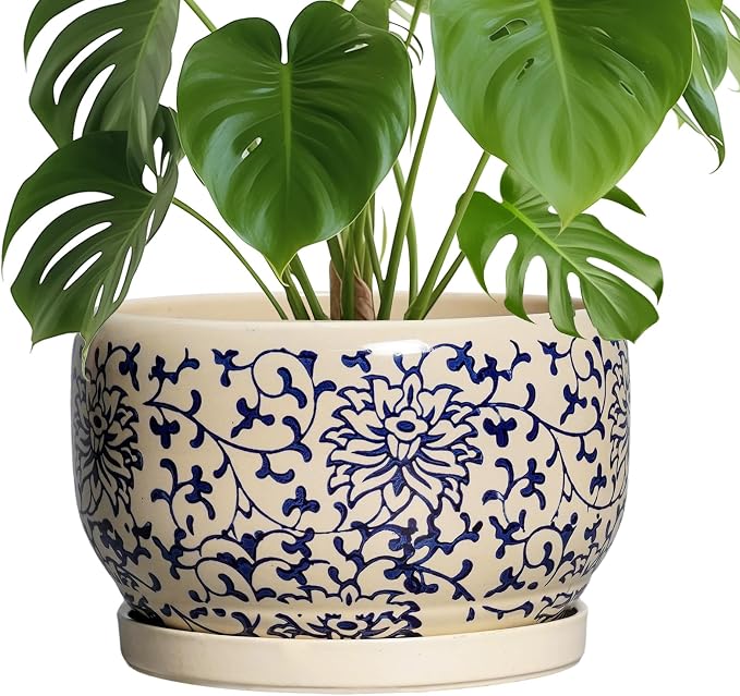 SQOWL 10 Inch Plant Pot Indoor by SQOWL