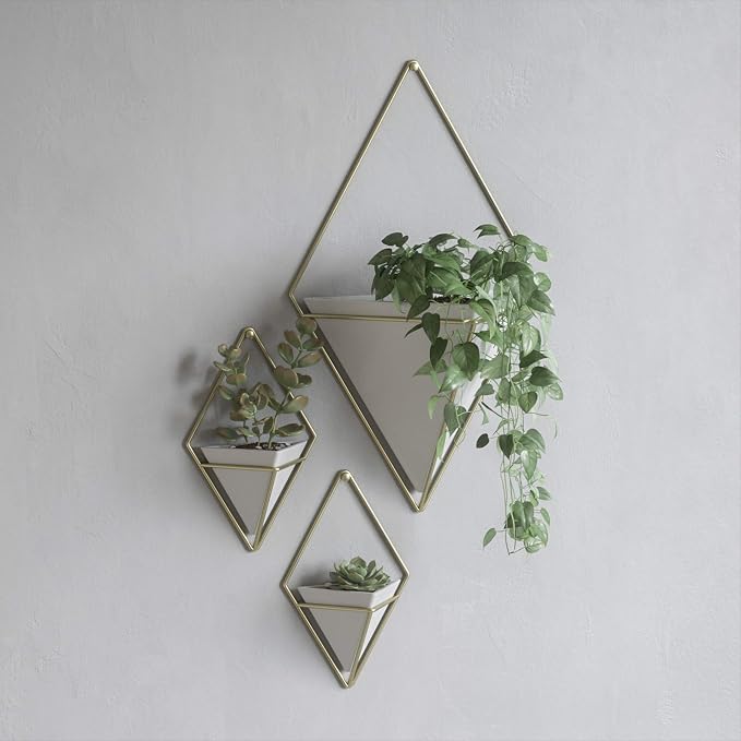 Umbra Trigg Hanging Planter for Small Plants - Image 13