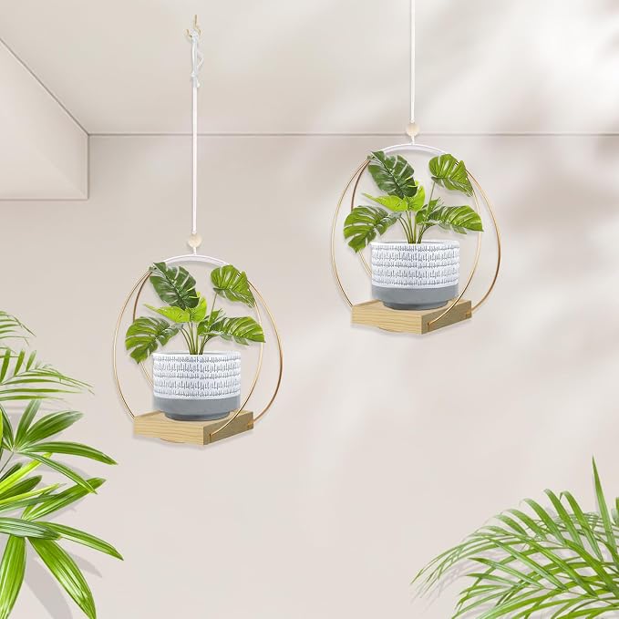hismocal Hanging Planter for Indoor Plants, Plant Hanger - Image 5