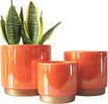 Gepege Ceramic Plant Pots for Indoor Plants, Planters by Gepege