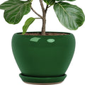 Deep Dream 10 Inch Plant Pot- Ceramic Planter Pot Round Plant Pots by DeepDream