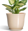 Ceramic Pots for Plants, 5.6 Inch Plant Pot by SUNPOTFOR