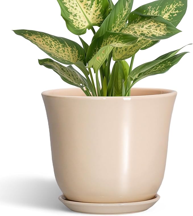 Ceramic Pots for Plants, 5.6 Inch Plant Pot by SUNPOTFOR