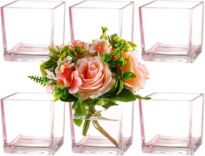Square Glass Vases Set of 6, Small Vase by MARTAGE