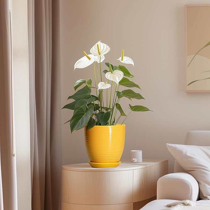 Ceramic Pots for Plants - Image 8