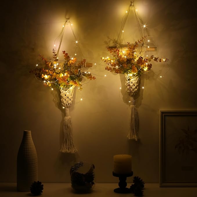 Macrame Wall Hanging Plants - Image 5