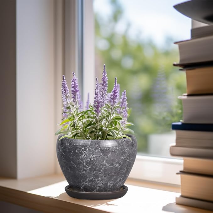 Ceramicfor Ceramic Planter - Image 2