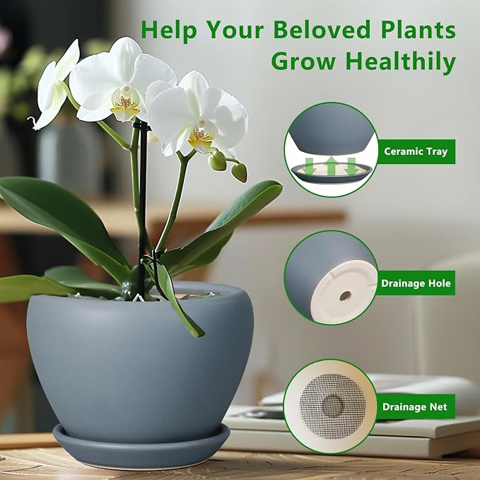 Ceramicfor Ceramic Pot for Plants, 8 Inch Plant Pot, Matte Gray | Plant Pots - Image 6