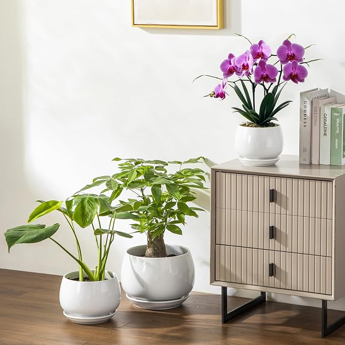 vancasso 3-Pack Ceramic Plant Pots, 7.3/9.6/11.6 Inch Indoor Planters - Image 7