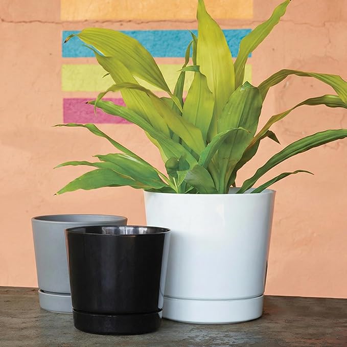 Root & Vessel Majestic Full Depth Round Cylinder Pot, Glossy Gray - Image 6