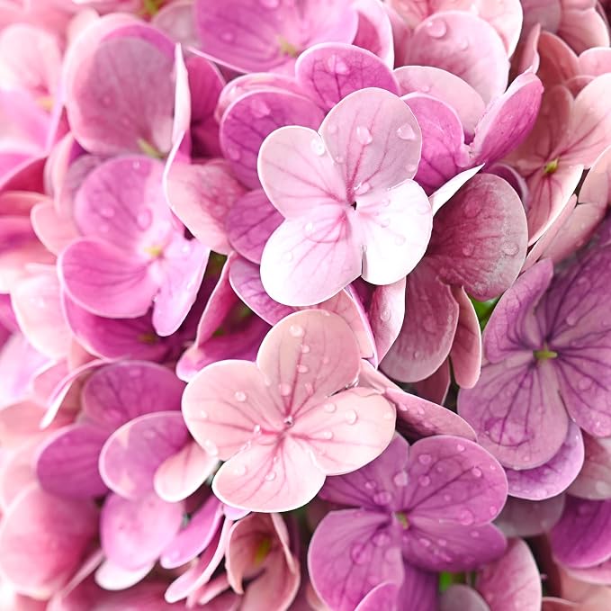 Pink Rose Red Hydrangea Artificial Flowers, Faux Hydrangea Flowers Outdoors - Image 7