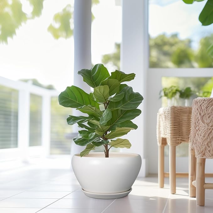 Ceramicfor Planter for Indoor Plants 13 Inch - Image 5