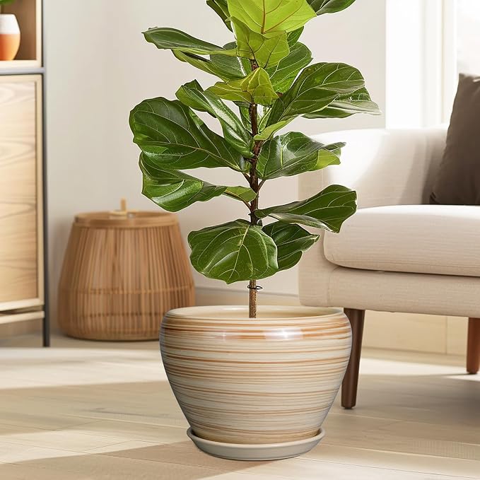 Ceramicfor Ceramic Pot for Plant 10 Inch - Image 2