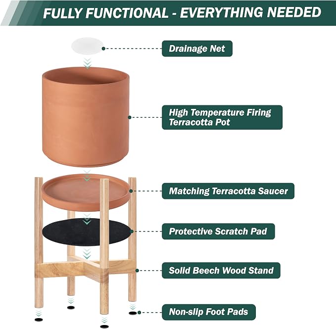 D'vine Dev Terracotta Pot with Natural Wood Stand, 12 in, 55-B-J-5 | - Image 5