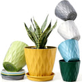 6 Pack Plant Pots with Drainage Holes, 4 Inch Plastic Indoor Flower Pots by Unknown