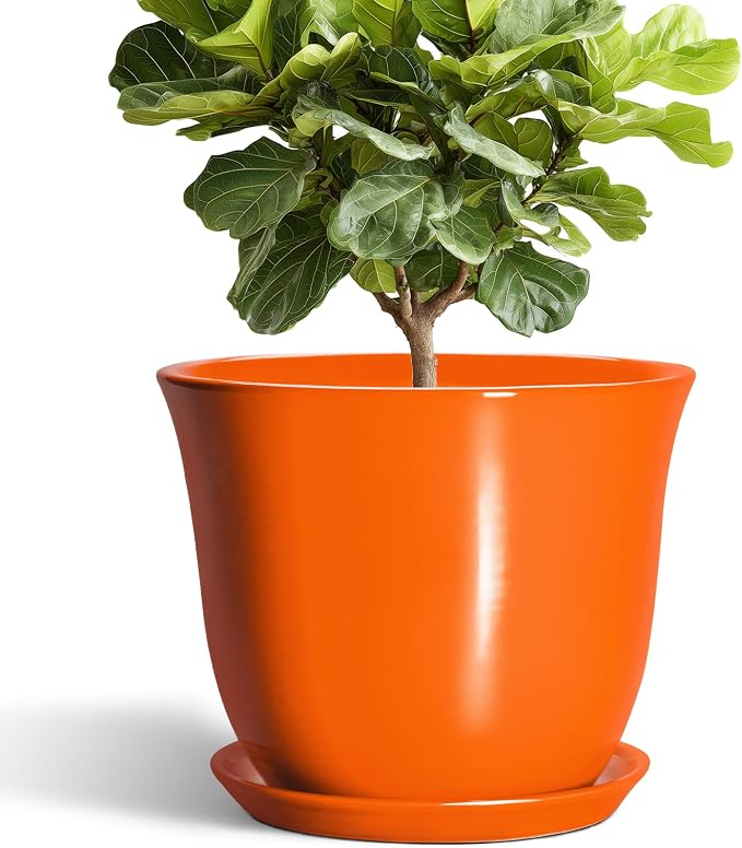12 Inch Pots for Plants by SUNPOTFOR